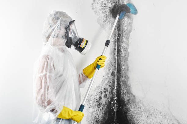 Best Residential Mold Inspection & Testing  in Broadlands, VA