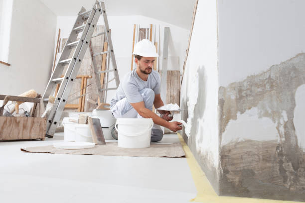 Best Mold-Related Health Consultation  in Broadlands, VA