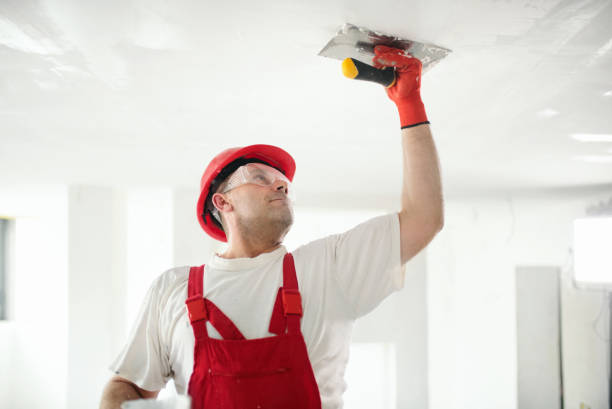 Best Black Mold Removal  in Broadlands, VA