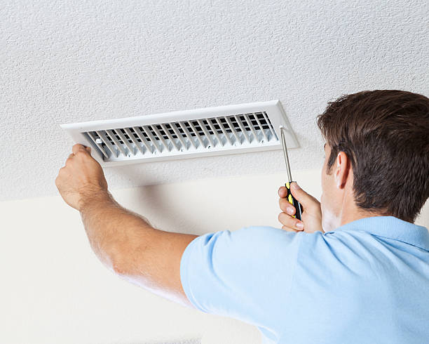 Best Mold Removal for HVAC Installations  in Broadlands, VA